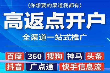 SEM投放策略优化案例分析